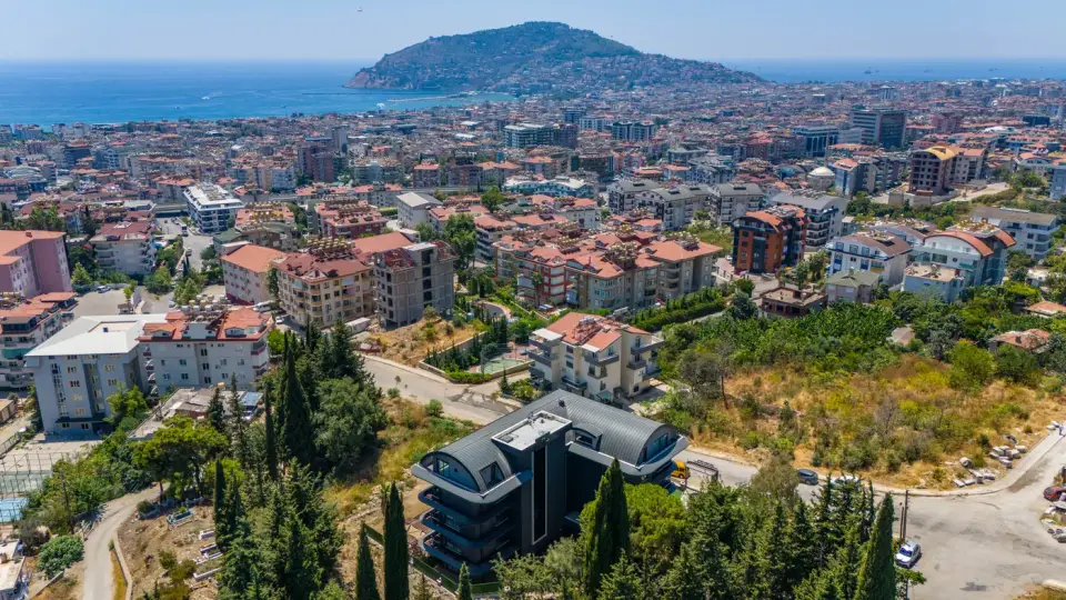 The neighbourhood with the castle and the sea, aerial view